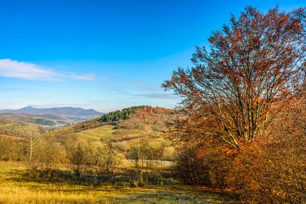 Outono paisagem rural com prados e árvores na encosta — Fotografia de Stock