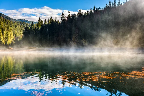 Lake in mistige vuren forest in Bergen — Stockfoto