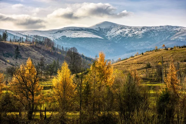 Zasněžené vrcholky nad podzimní les — Stock fotografie