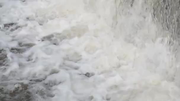 Mała kaskada na rzece — Wideo stockowe