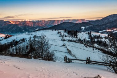 çit yakınındaki ormanda kış karlı dağın yamacında