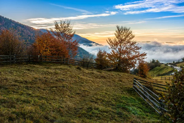 Neblig-heißer Sonnenaufgang in den Karpaten — Stockfoto