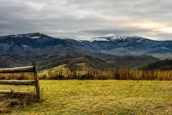 karlı dağlar çayır çit