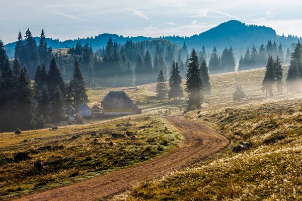 Camino cerca de bosque de niebla en las montañas al amanecer — Foto de Stock