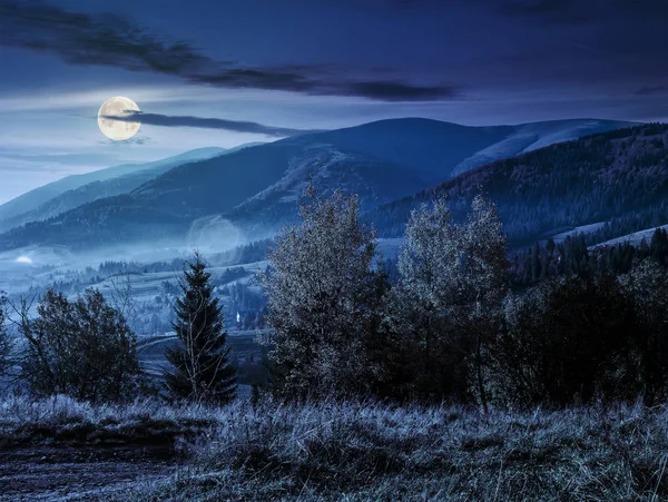 Notte nebbiosa nelle montagne dei Carpazi di notte — Foto Stock