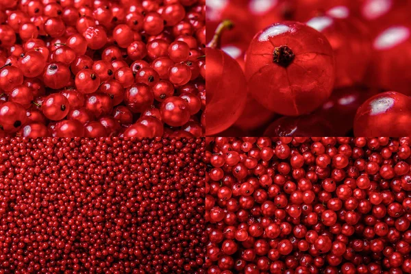 Conjunto de imágenes de textura de grosella roja —  Fotos de Stock