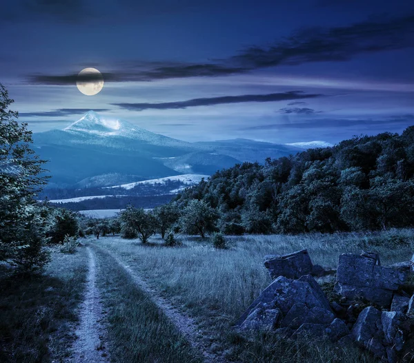 Winter in mountains meets spring in valley at night — Stock Photo, Image