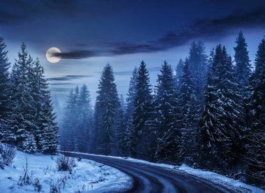 snowy road through spruce forest at night clipart