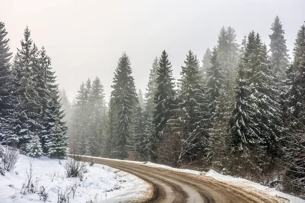 Zasněžené silnice smrkovým lesem — Stock fotografie
