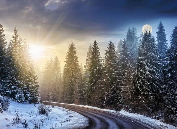 Estrada nevada através da floresta de abeto — Fotografia de Stock