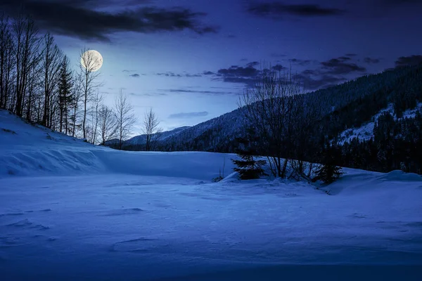 Bäume auf schneebedeckter Wiese in den Bergen in der Nacht — Stockfoto