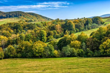dağ aralığının yamaca yaz çayır