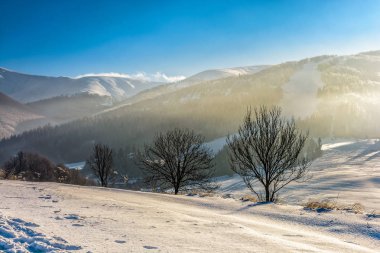 Kış dağlar sisli sabah