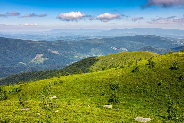 dağ aralığının yamaca yaz çayır