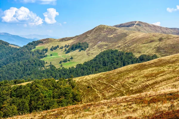 Karpat dağ silsilesi içinde yaz