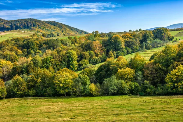 dağ aralığının yamaca yaz çayır