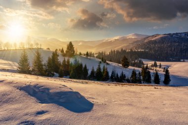 gün batımında yüksek dağlar karlı çayır Ladin ormanı