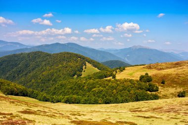 dağ aralığının yamaca yaz çayır