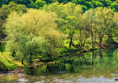 sakin dağ nehir bir açık yaz sabahı