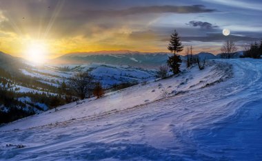 karlı dağlar çayırda Ladin ağacı. zaman değişim kavramı