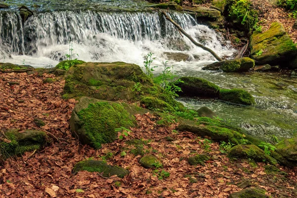 Cascada en el pequeño arroyo con piedras en el bosque —  Fotos de Stock