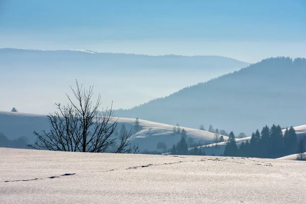 Mlhavé ráno v zimních horách — Stock fotografie