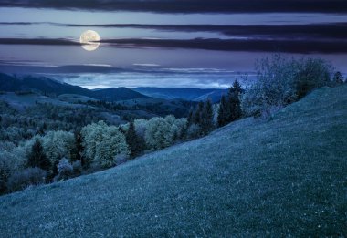 Geceleri dağlarda ağaçları ile çayır