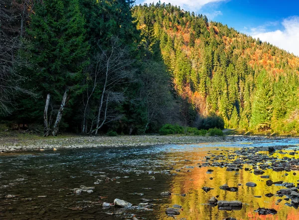sonbahar ormandaki nehir dağ