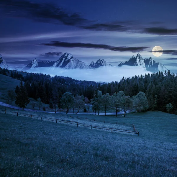 Cime rocciose dietro il bosco e prato di notte — Foto Stock