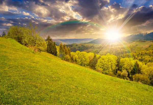 Meadow with trees in mountains at sunset — Stock Photo, Image