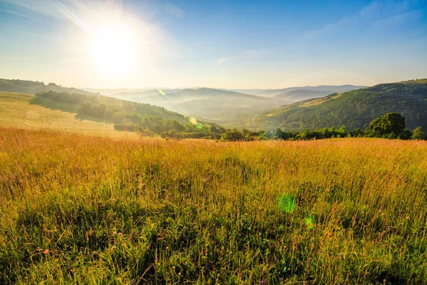 Wiese mit hohem Gras in Bergen bei Sonnenaufgang — Stockfoto