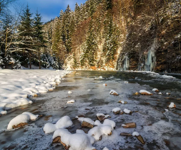 Rivière de montagne gelée dans la forêt d'épinettes — Photo