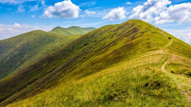 bir çayır yamaca yol