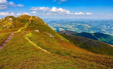 bir çayır yamaca yol