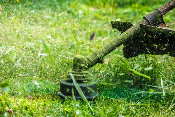 Trimmer head cutting grass to small pieces — Stock Photo, Image