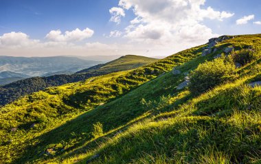 çimenli tepe yaz aylarında dağ üzerinde