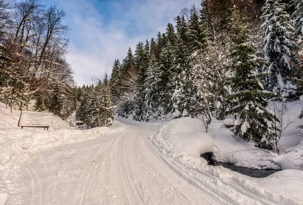 Schneeglätte durch Fichtenwald — Stockfoto