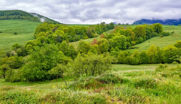Venkovské oblasti v Karpatské údolí — Stock fotografie