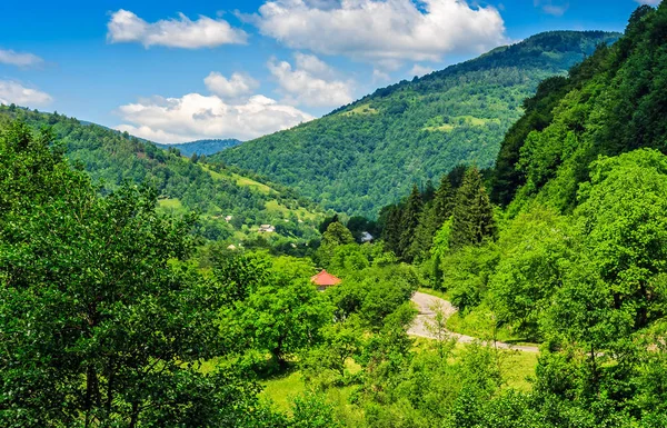 Ländlicher Raum im Karpatental — Stockfoto