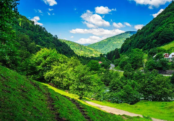 Rural area in Carpathian valley — Stock Photo, Image