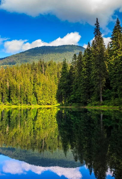 Гірське озеро серед лісу — стокове фото