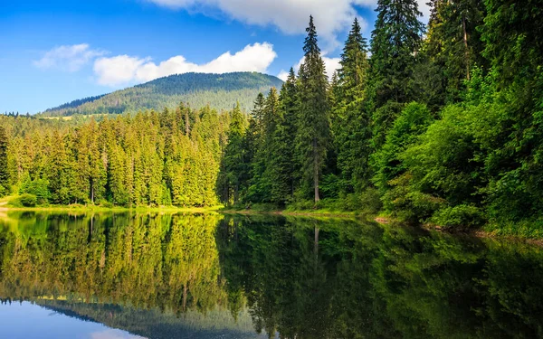 Horské jezero lese — Stock fotografie