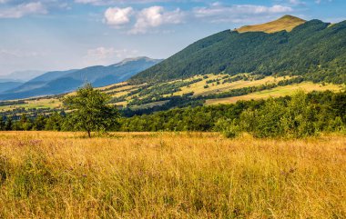 Tarım alanında dağlar