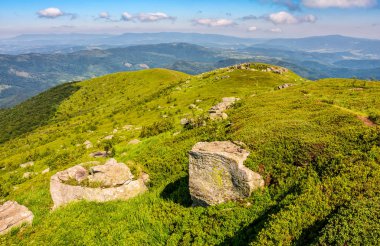 Yaz aylarında Karpat Dağları'nda kayalar ile çayır