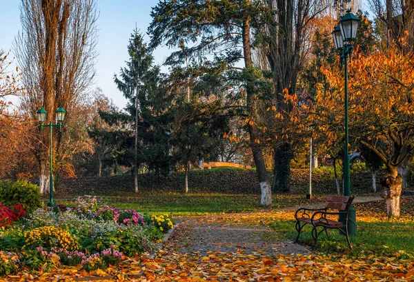 Flower blossom in city park in autumn — Stock Photo, Image