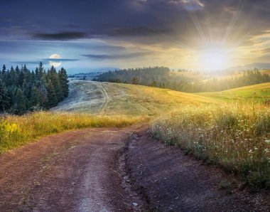 kırsal alanda bir dağ yamaca orman