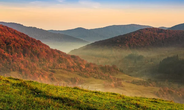 sonbahar orman puslu dağlar üzerinden günbatımı