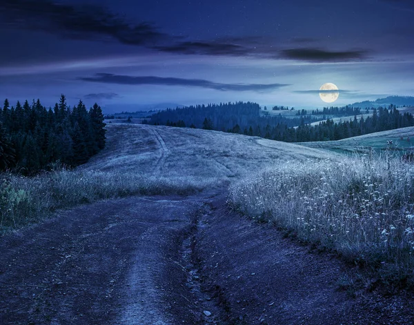 Lesie na zboczu góry w wiejskiej okolicy w nocy — Zdjęcie stockowe