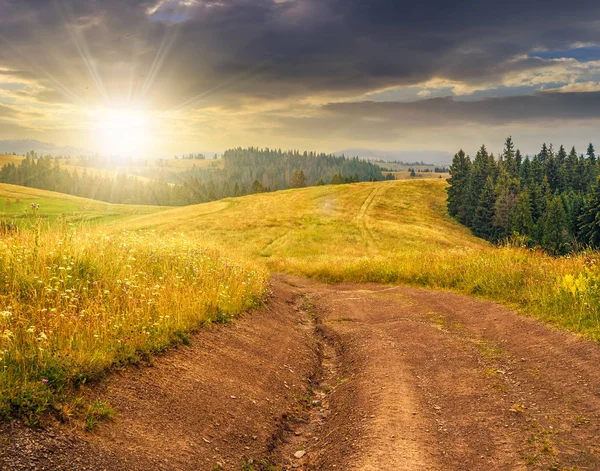 Foresta su una collina di montagna al tramonto — Foto Stock