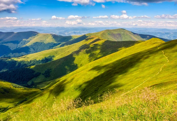 Encosta gramada na montanha no verão — Fotografia de Stock